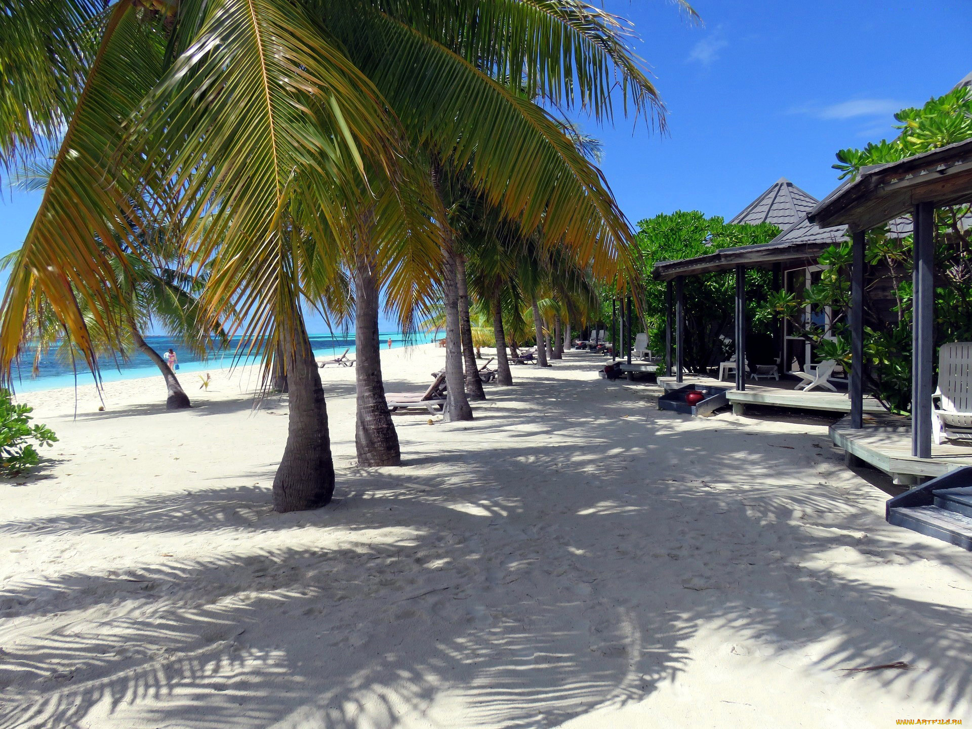 maldives, , 